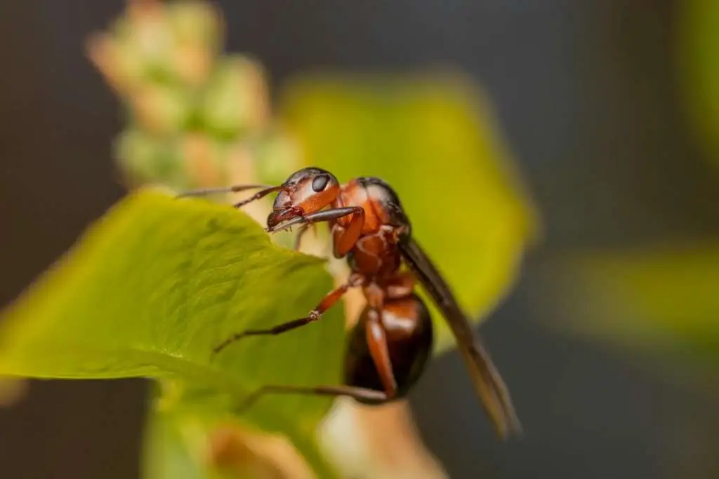 Pest Control Great Points of Interest in Bradenton: Neal Preserve